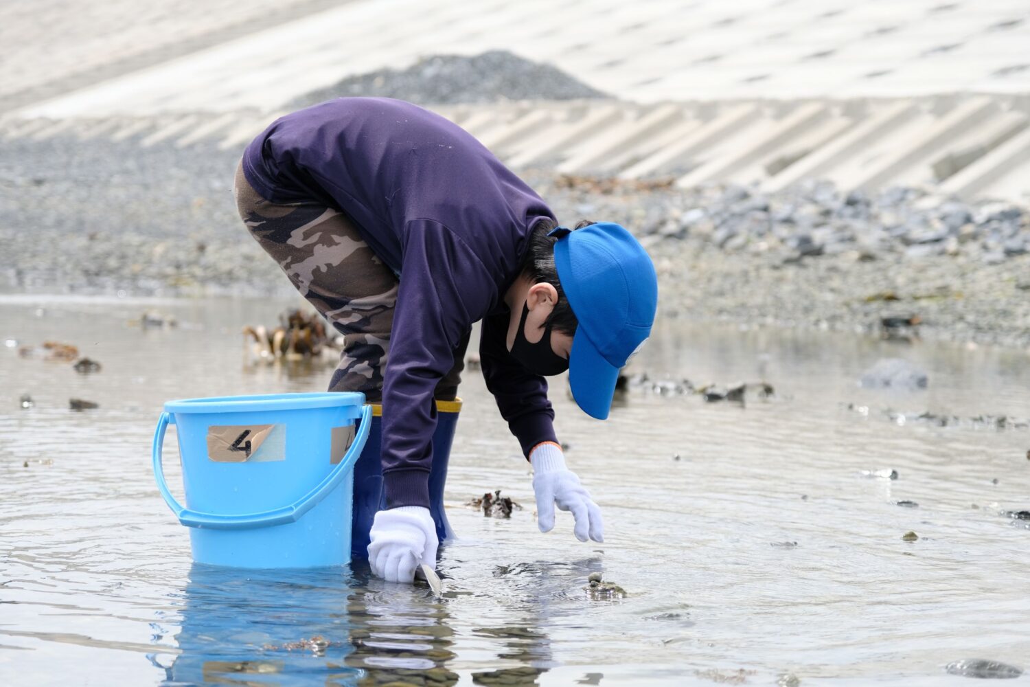 岸辺の浅瀬で1人の子どもが青いバケツを横に置き、水中を覗き込んで片手に小さなシャベルを持って生き物を探している様子の写真