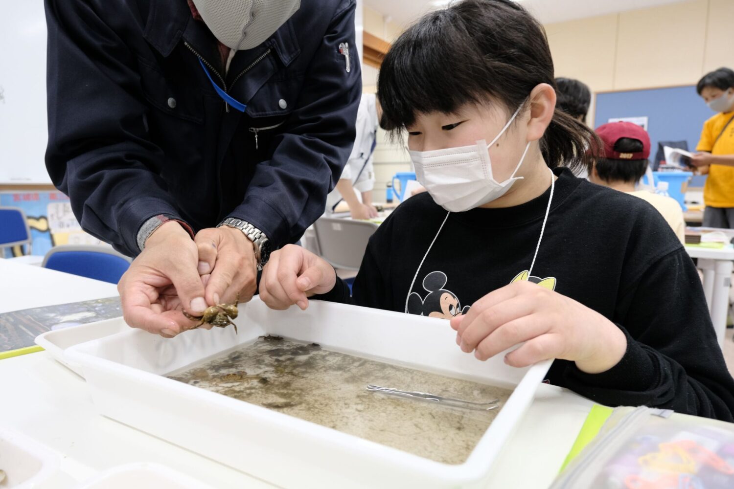 室内で男性が小さなカニのような生き物を指先で持ちながら説明しているのを白いマスクをつけた女子児童が聞いている写真