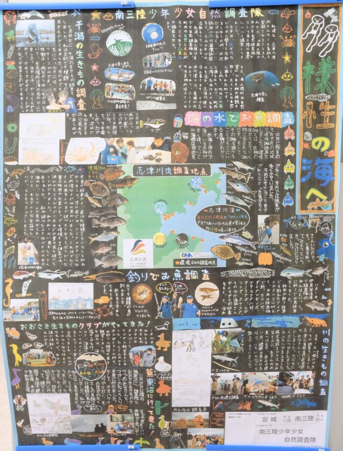 黒い背景にカラフルな手書き文字とイラスト、活動写真や地図、魚の写真などが多数貼られ海の生きもの調査の内容が紹介されている「南三陸少年少女自然調査隊」壁新聞の写真