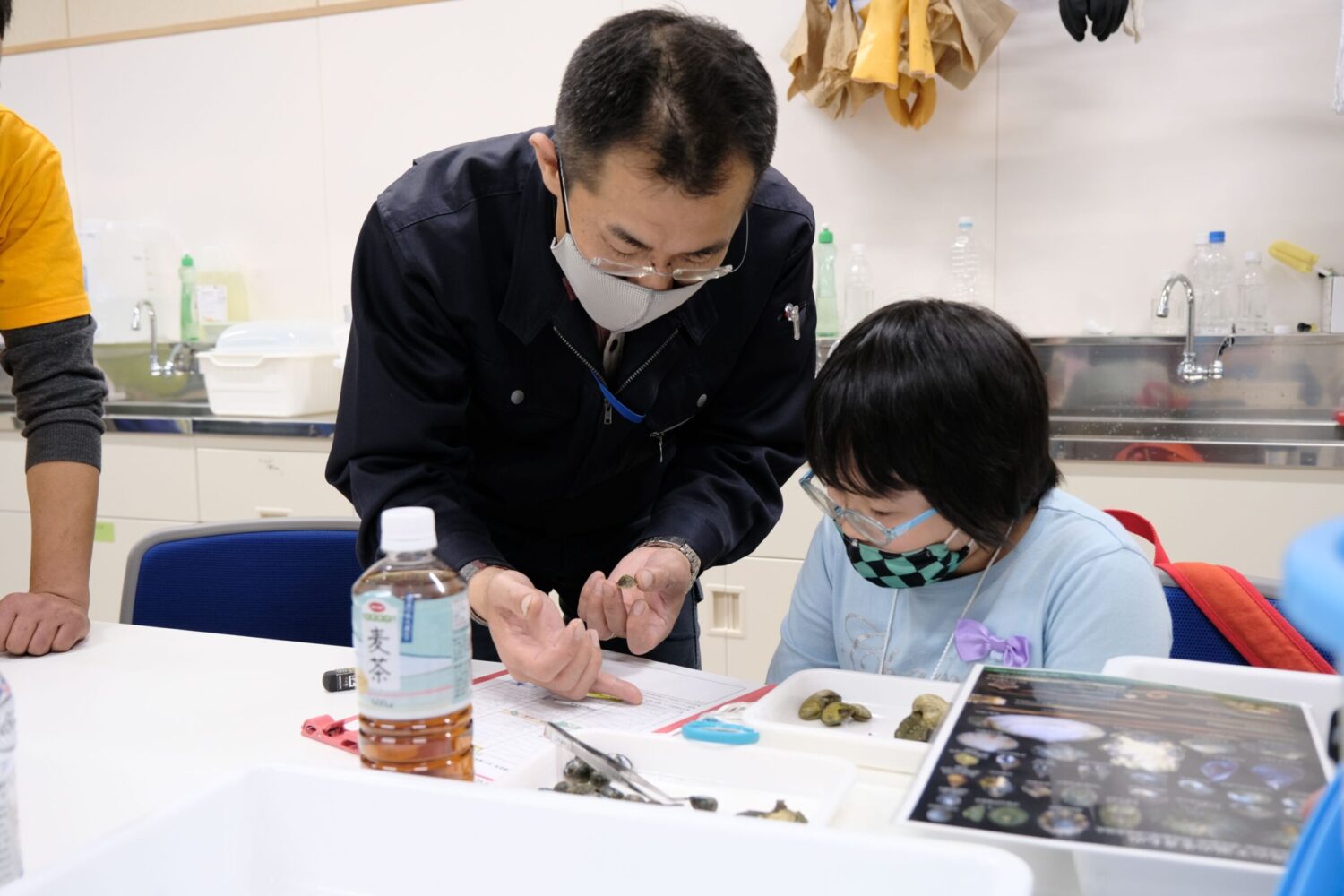 メガネとチェック柄のマスクをした女子児童が、男性から貝のような生き物について資料を差して説明をしている様子の写真
