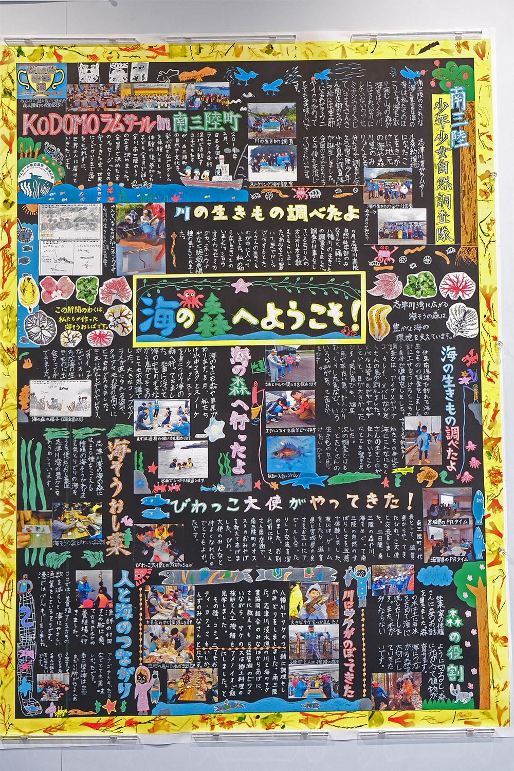 黒い台紙にカラフルなイラストや写真や自然調査のまとめをびっしりと書かれた壁新聞の写真