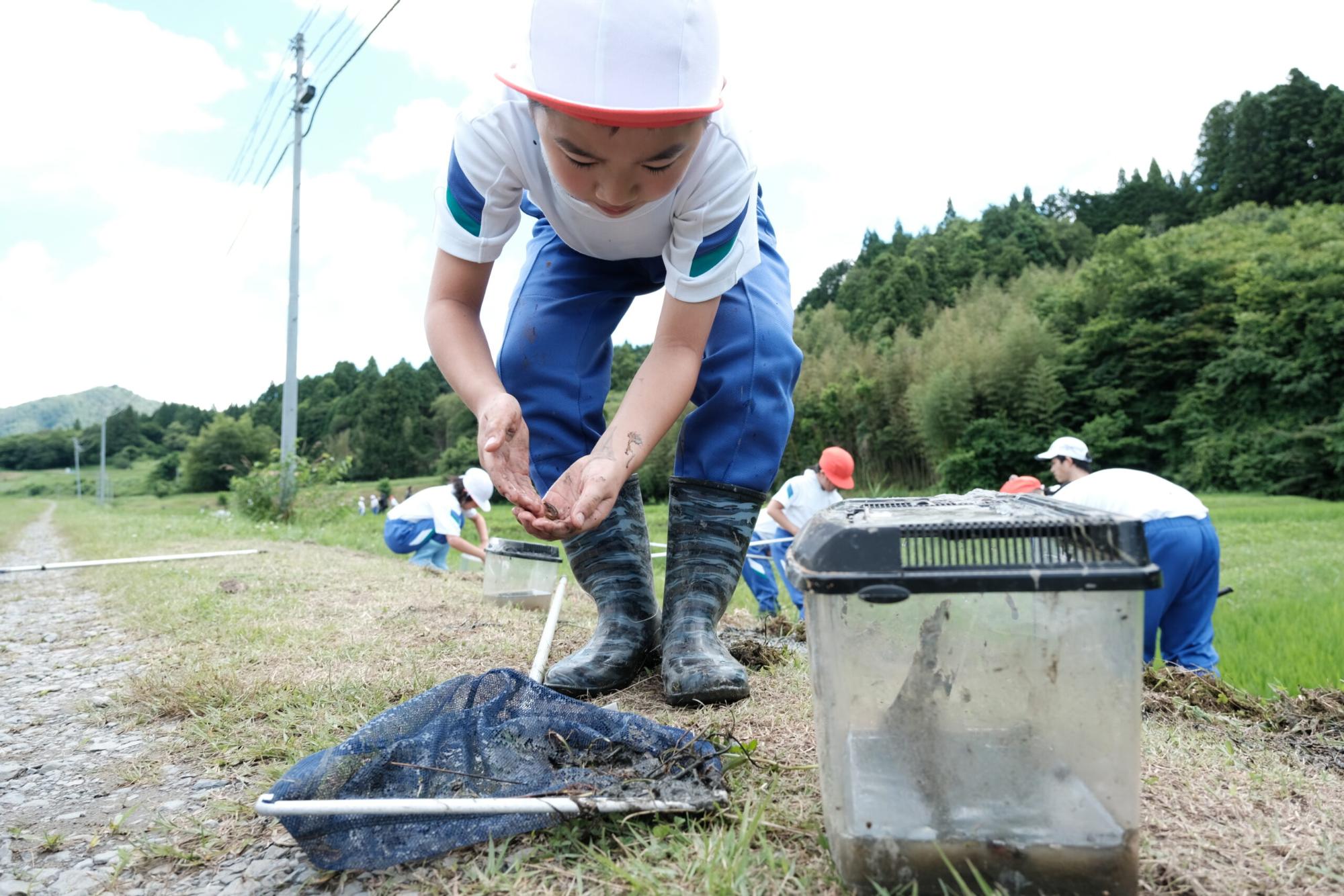 白い帽子と青い体操服を着た小学生の男の子が、しゃがんで手の中の小さな生き物を見つめている様子を写した写真