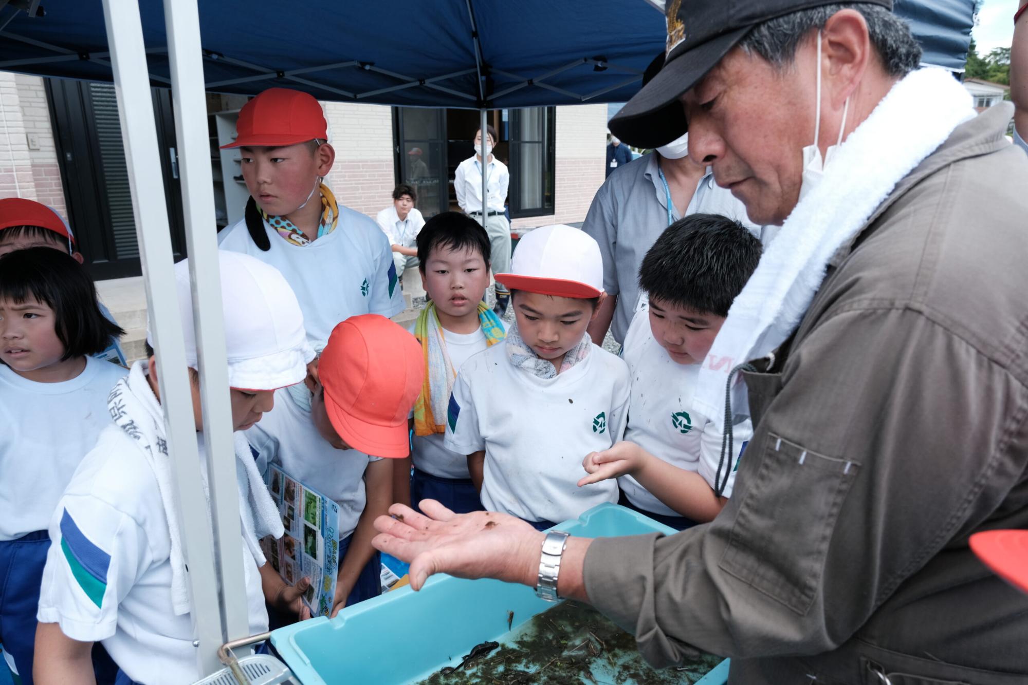 屋外のテントの下で、年配の男性が手のひらに小さな生き物を乗せて見せており、その周囲で小学生の子どもたちが興味津々に覗き込んで観察している様子を写した写真