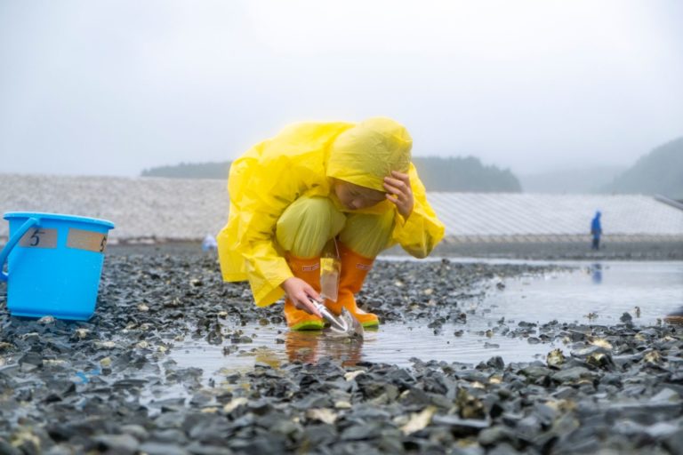 黄色い雨具とオレンジ色の長靴を着た人が、小雨の中で浜辺にしゃがんで小さなスコップを使って海辺の石の間を丁寧に調べている様子の写真