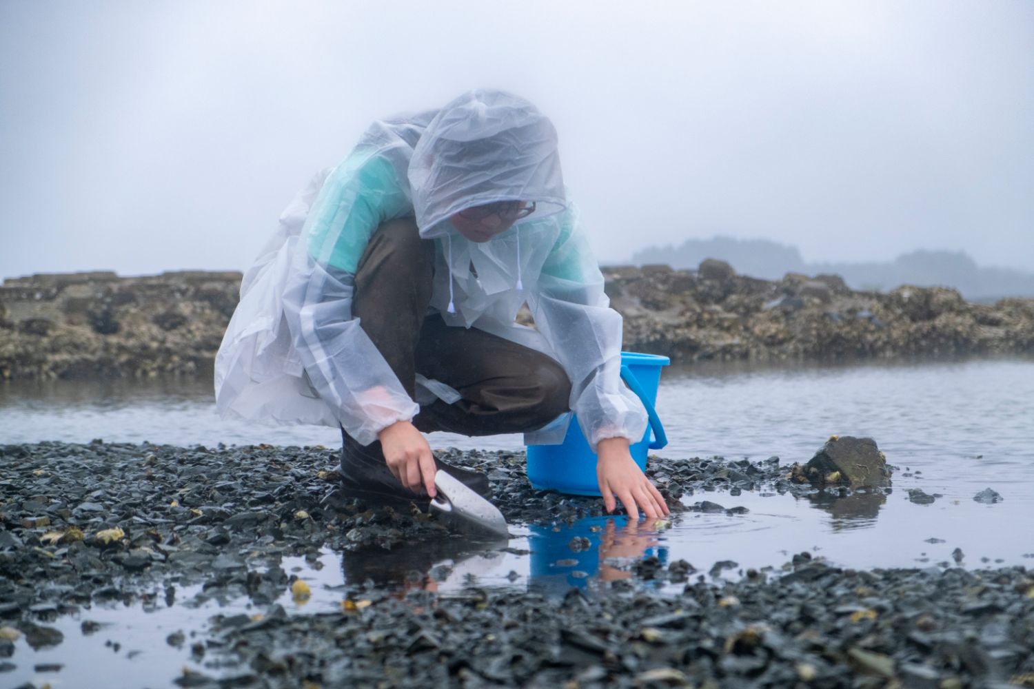 透明なレインコートを着た人物が、岩の多い海岸でしゃがんで手にスコップを持ち、青いバケツをそばに置きながら水たまりの中の生き物を探している様子の写真