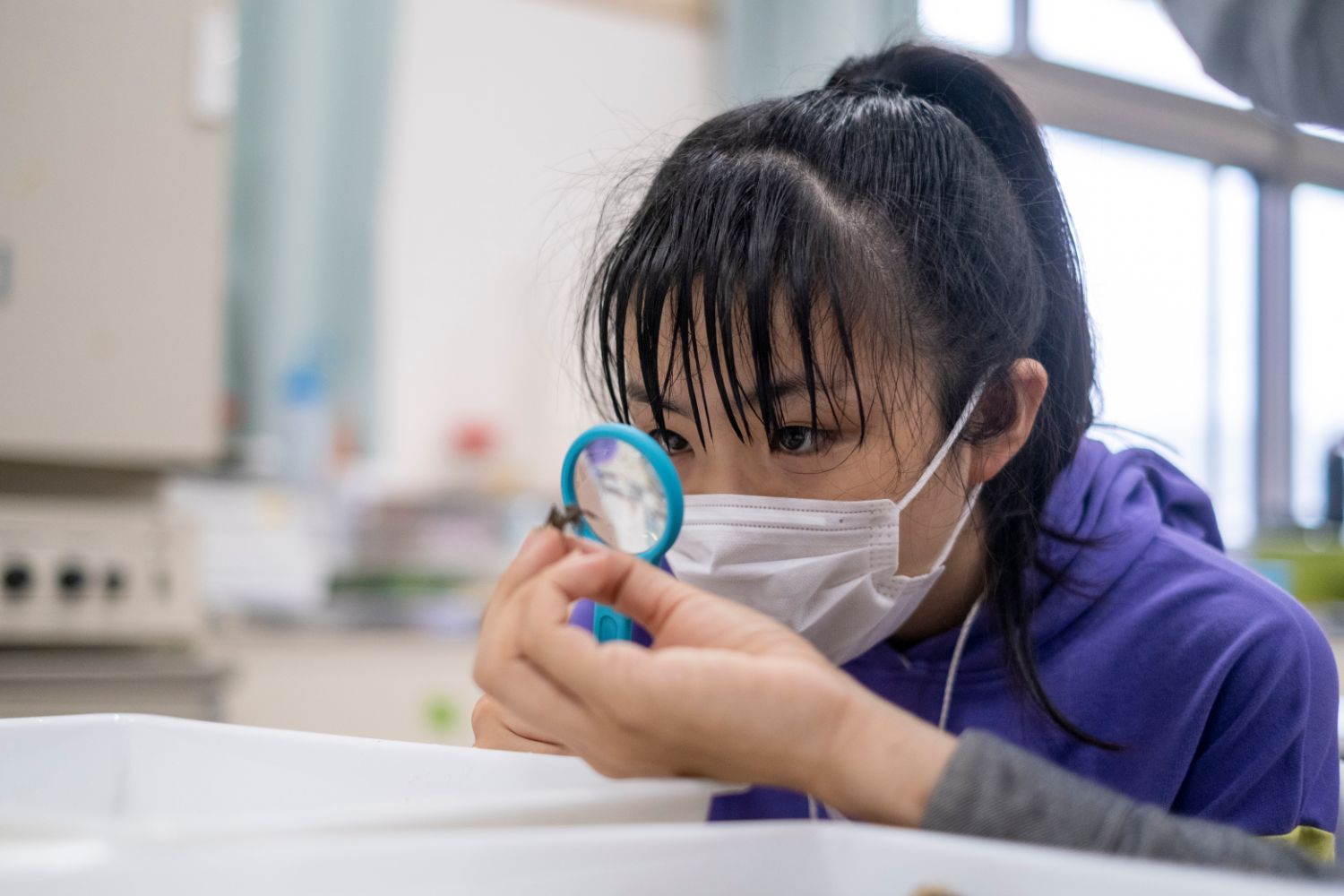 紫のパーカーを着た女の子が小さな生物を青いルーペで真剣な眼差しで観察している写真
