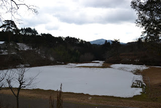 木々に囲まれた広い土地が雪に覆われている写真