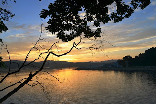 夕焼けの空を背景に、葉の茂る木の枝がシルエットとなり、静かな港の水面が黄金色に輝く景色の写真