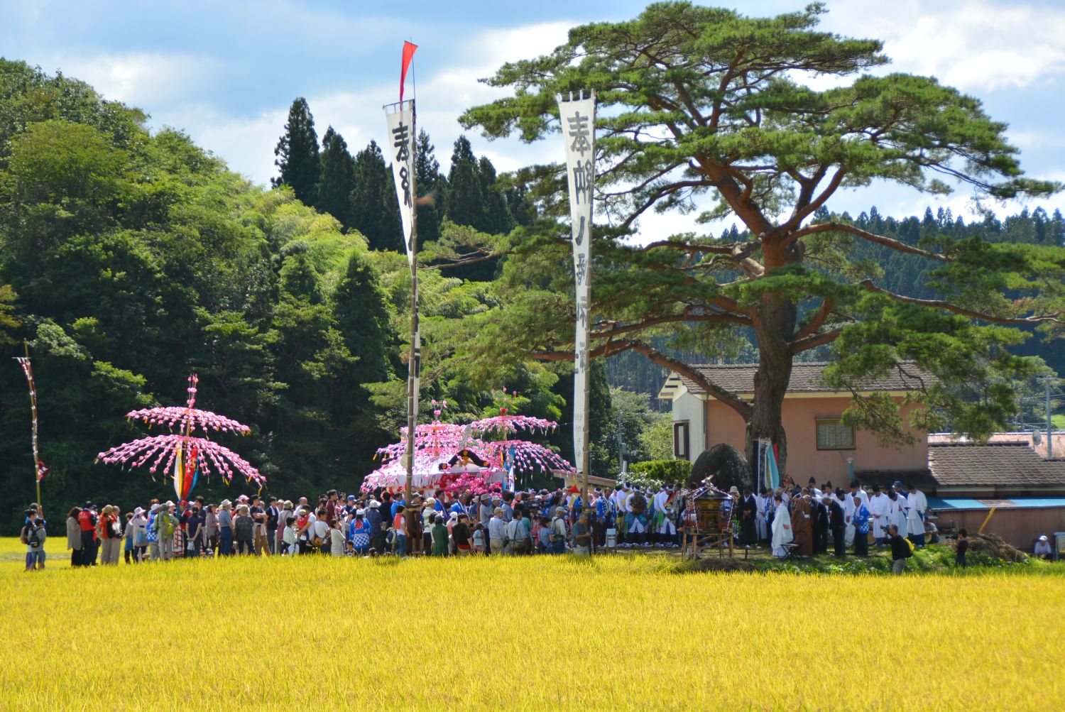 周囲には緑豊かな木々が広がっている大きな木のそばに多くの人々が集まり、二本の背の高いのぼり旗や、ピンク色のしだれ桜の形をした装飾がいくつも並び、入谷打囃子の奉納が行われている写真