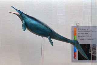 青緑色の細長い体と尖った口ばしを持つウタツサウルスの模型が透明な支柱で支えられて浮かぶように展示されており、右側には標本の解説パネルが縦に掲示されている写真