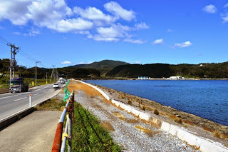 海沿いの道路の左側には車が走る舗装道があり、右側には山に囲まれた青い湾が広がっていて、奥には緑の山々が連なっている風景の写真