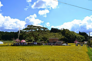 青空の下、黄金色の稲穂が広がる田んぼの向こう側に、花傘や人々が集まっている祭りの様子が見える風景の写真