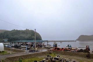 小雨が降るなか、港に設置された屋根付き駐車場の中に人々が集まっている様子を、少し高い場所から撮った海辺全体の写真