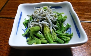 四角の皿に、茹でたウドの上にしらすが盛られているお浸しの写真