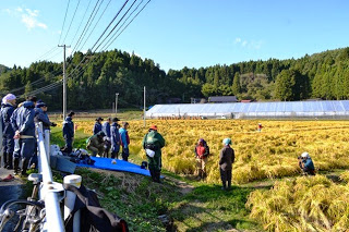 ビニールハウスと山が見える背景で、稲刈り前の田んぼの脇に集まった多くの人が説明を聞いている写真