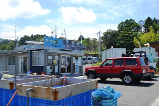 晴れた空の下、「タブの木漁協直販所」と書かれたプレハブ風の建物があり、手前には青い水槽や漁具が置かれている写真