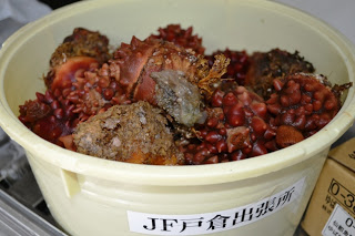 「JF戸倉出張所」と書かれたバケツに、たくさんのホヤ(海産物)が詰め込まれている写真