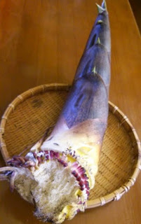竹かごからはみ出すほど大きな筍がのせられている写真
