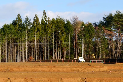 造成された茶色い土の奥に高い杉の木々が並び、中央には白い軽トラックが停まっている林縁部の造成地の写真