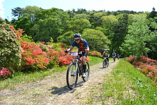 緑の木々と赤いツツジに囲まれた山道を、マウンテンバイクの選手たちが力強くペダルを漕いで登っているレース中の写真