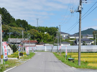のどかな田園風景が広がる舗装された道路の両脇に、赤い「前夜祭」の旗が等間隔で立てられている写真