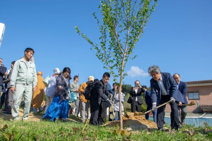 周囲には緑の草地が広がっている屋外で、数人の人が協力しながら若い木を土に植えている様子が写っている写真