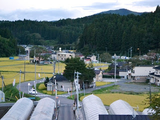 ビニールハウスや稲が実る田んぼの向こうに住宅と森が広がり、奥には山が見える静かな農村風景の写真