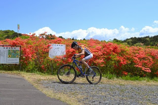 舗装路から未舗装路に変わる地点に設置された案内板の前で、赤いツツジを背景に一人の選手がマウンテンバイクで走行している写真
