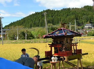 稲穂が黄金色に実った田んぼの前に、飾りが施された小さな神輿が置かれている風景の写真