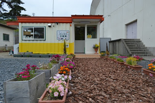 黄色と白の外壁の建物入口に続く小道の両脇に、色とりどりの花が植えられたプランターと花壇が並んでいる写真