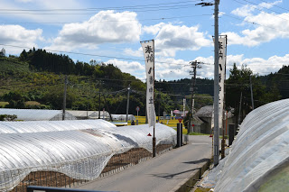 山間ののどかな道沿いに白いハウスが並び、二本の幟が立っている風景の写真