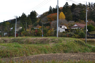 秋色に染まった木々が広がる山の斜面に沿って民家が並ぶ写真