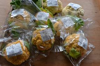 それぞれ個別にビニールで包まれ、ラベルとバーコードが貼られた状態で木の台の上に並べられている黄色のカリフラワーの写真