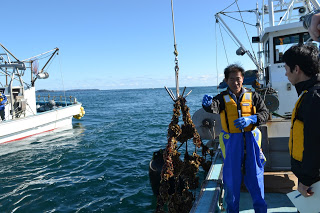 フックでカキを引き上げている漁船に、黄色いライフジャケットを着た男性2人が乗っている写真