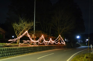 道路が右にカーブし、街灯が周囲をやわらかく照らしている中で、夜の道路沿いの木々に山の形に飾られたイルミネーションが施されている様子の写真