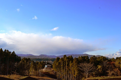 緑の森に囲まれた高台から遠くの山並みと雲が広がる空を見渡しており、中央に細い道と家々が点在する田舎の風景の写真