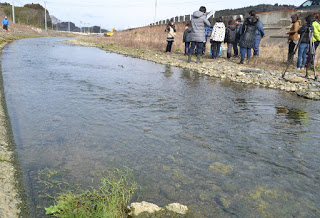 水戸辺川のほとりに人々が集まっている写真