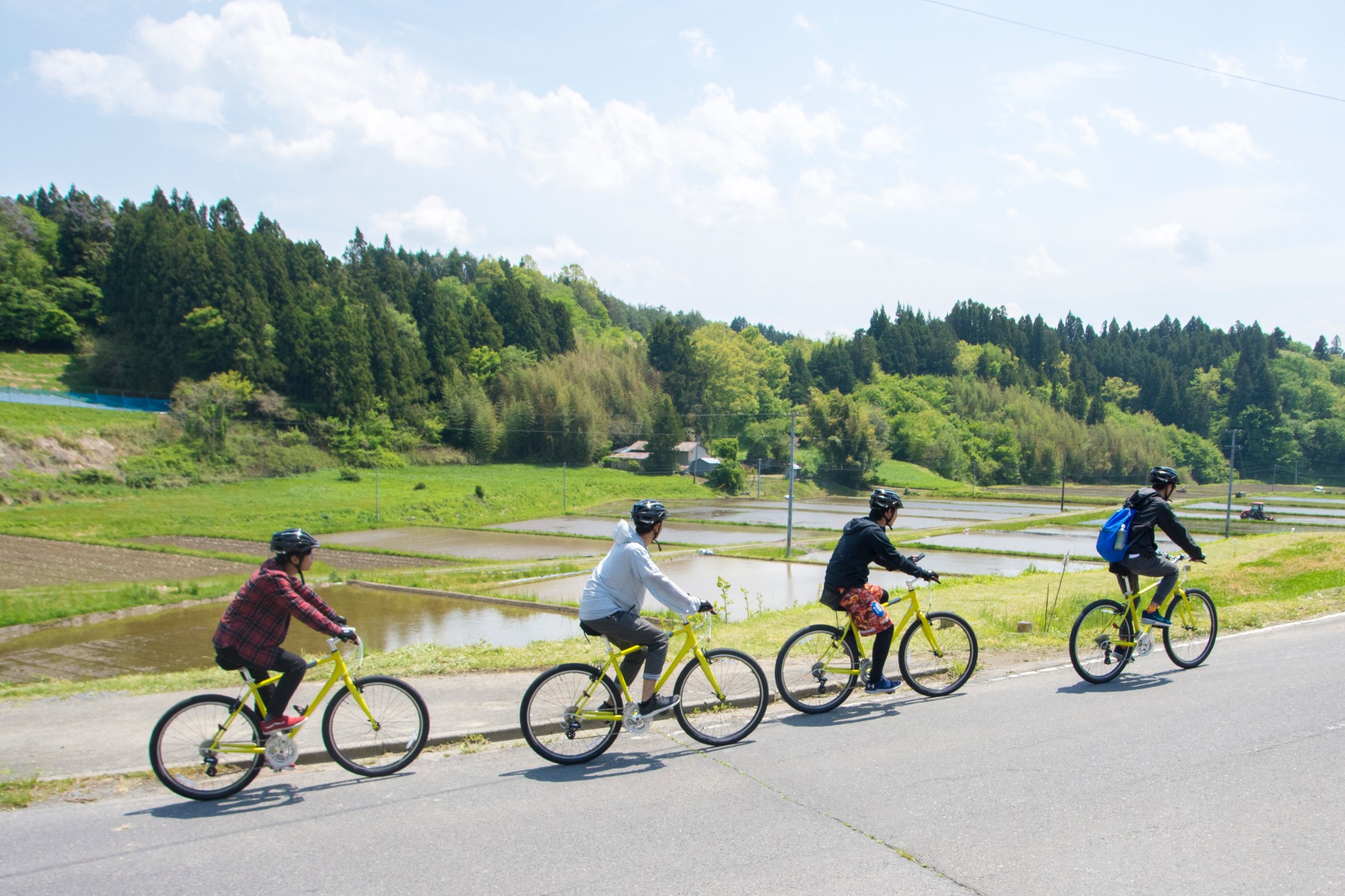 水田や緑の森の景色が広がる道路を、4人のサイクリストが一列になって走っている写真