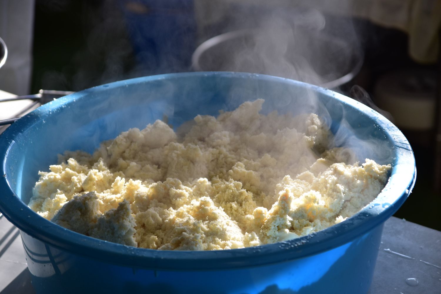 水色の大きな容器の中に、汁を絞ったばかりで湯気が立つおからがたくさん入っている写真