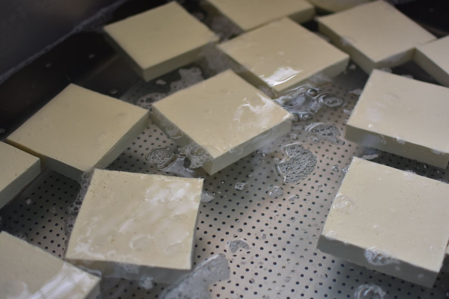 きれいに正方形にカットされた豆腐が水の中に浮かんでいる写真