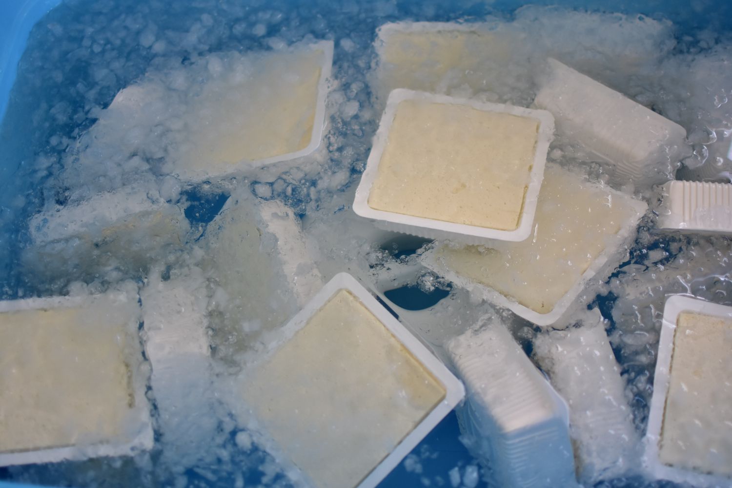 水が入った大きな水色の容器の中に沢山のパックに詰められた豆腐が入って浮かんでいる写真