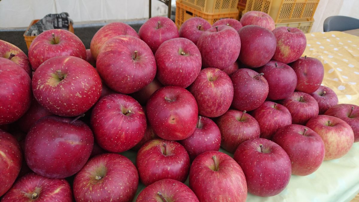 赤く色づいた多数のりんごがテーブルの上に山積みにされている写真