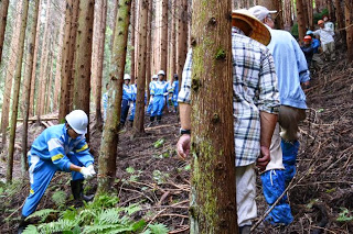 森の中で複数の青いジャージの生徒たちが白いヘルメットを着用し、斜面で木の根元付近の作業をしている様子の写真