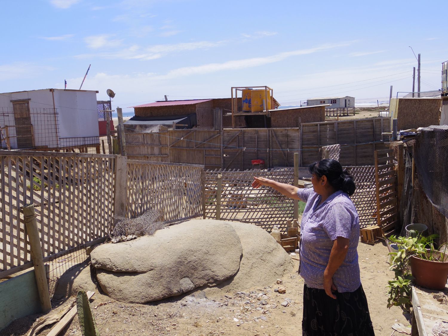 複数の簡易住宅が見える民家の柵の裏手で女性が遠くを指差して説明している様子の写真