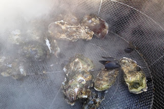 大きな釜の中で殻付きの牡蠣が蒸されており、湯気が立ちこめている様子の写真