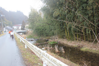 竹林に沿って川が流れる横の道路をガードレールに沿って歩いてる参加者たちの写真