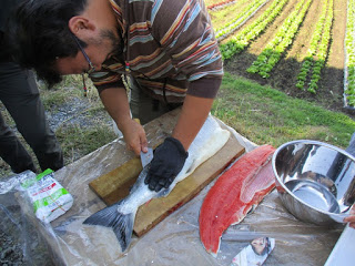 男性が屋外のテーブルで大きな魚を包丁で捌き、身と骨を分けて調理している様子の写真