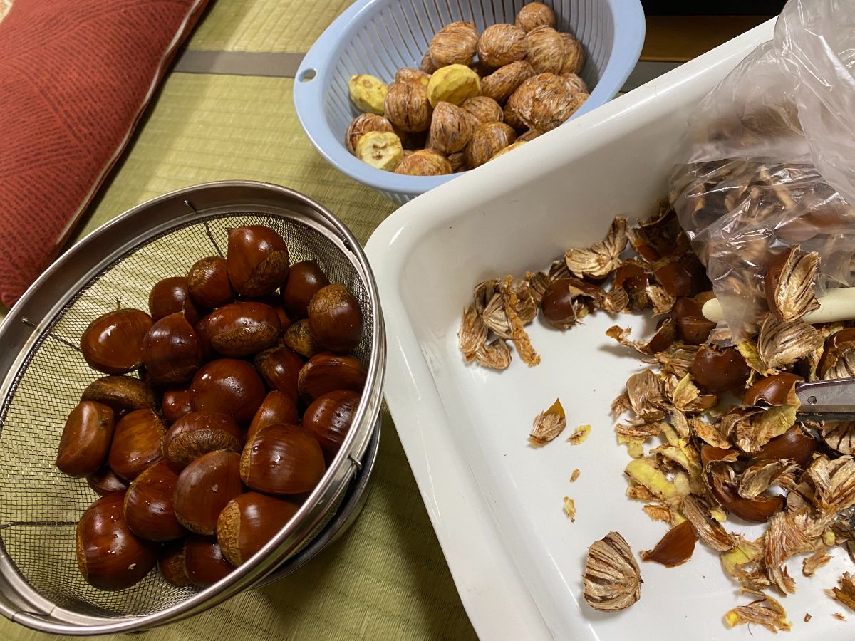 テーブルの上に、ざるに入れられた栗、栗の皮をむいた実や皮の残骸が広がる調理準備中の一場面を写した写真