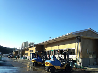 晴れた日に水産加工施設の前に複数のフォークリフトが並び、清掃が行われたような濡れた地面が広がっている写真