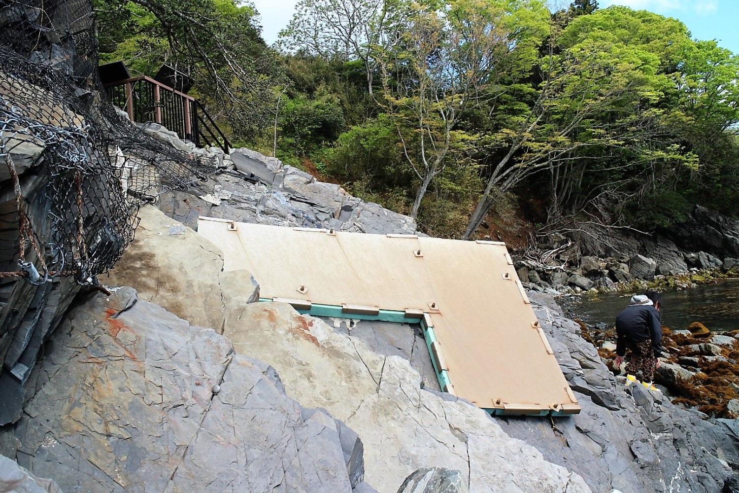 海辺の岩に保護用のネットがかけられており、一部の岩盤には板が設置されて化石が保護されている様子が写っている写真